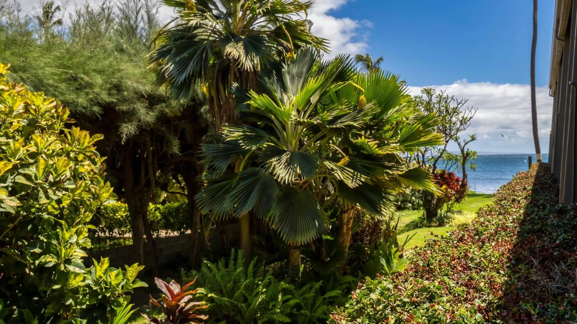 Kihei Kai Oceanfront Condos